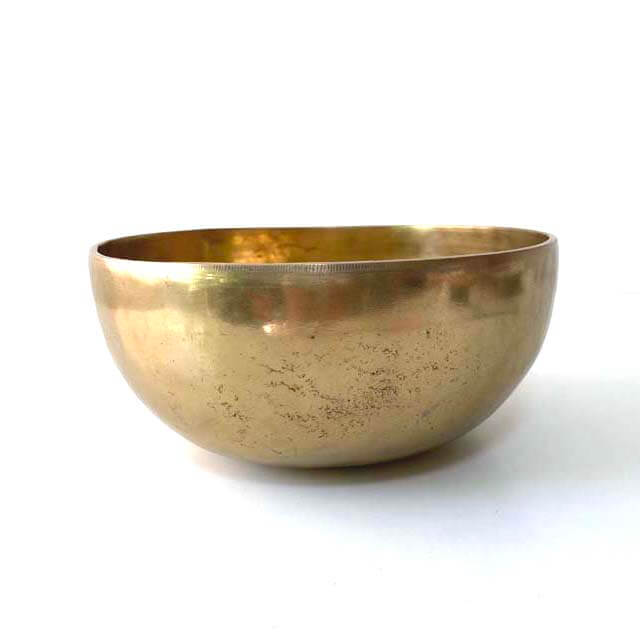 AEgbgSHႢ b a /20.6cm `xbgEVMO{E