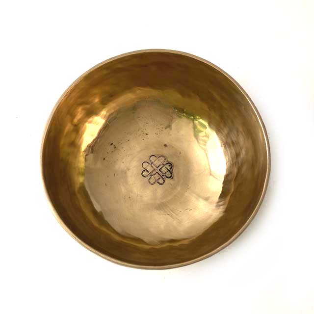 AEgbgSHႢ b a /20.4cm `xbgEVMO{E