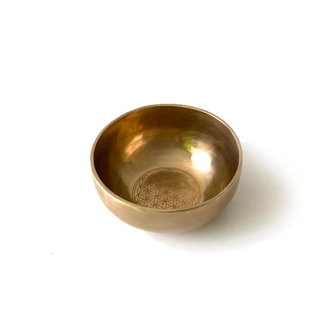 AEgbgt[EIuECt a ɏ{SȂXeBbN