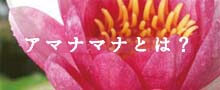 アマナマナとは?