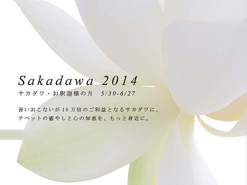Sakadawa2014