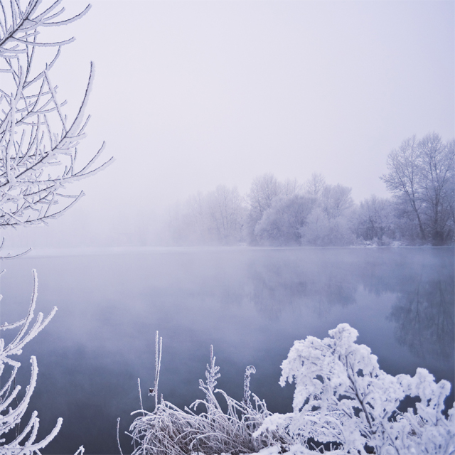 winter_fog