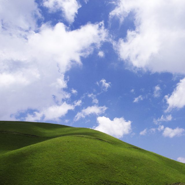 chshii-green-grass-sky