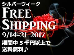 201709-shipping-free-top