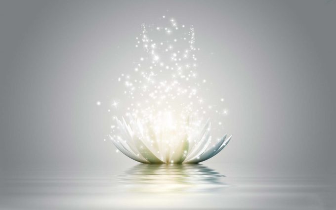 lotus_shining