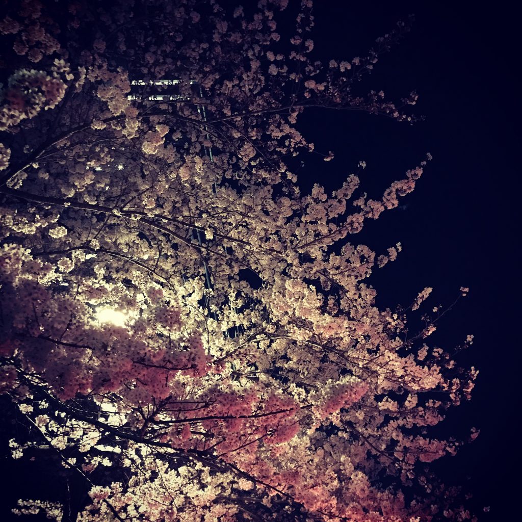 写真 2018-03-26 19 17 11