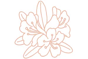 00_anthopogon