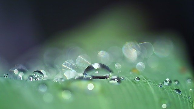drop-of-water-3671613_640