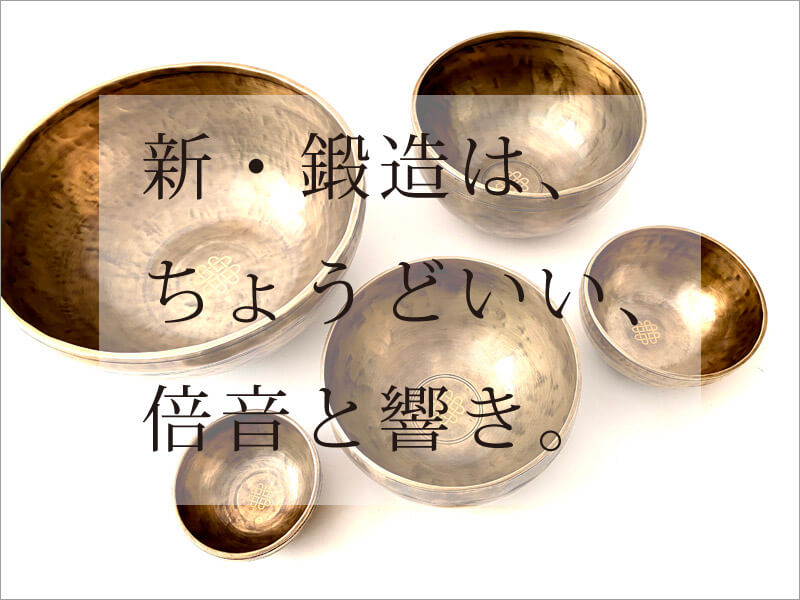 VEb͂傤ǂ{Ƌ