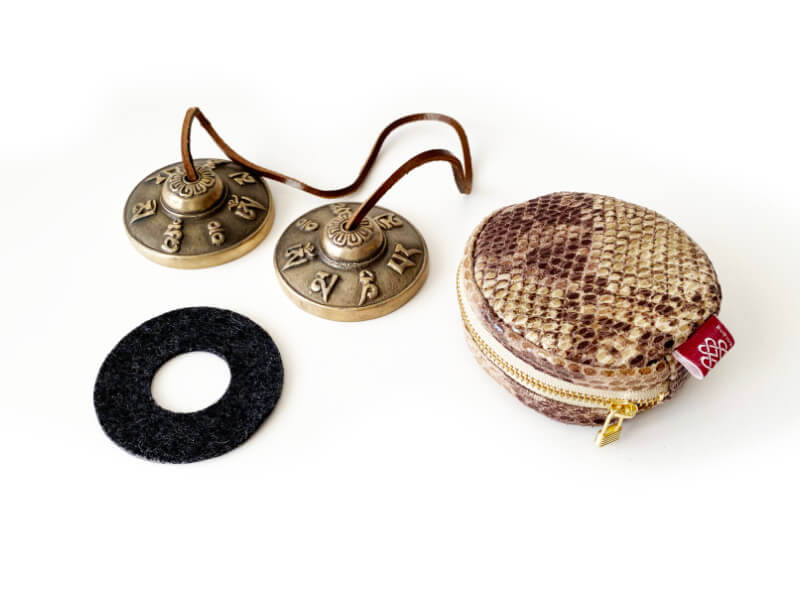 ティンシャケース パイソン